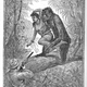 Illustration for article titled This gruesome 1889 biology book outlined the many ways animals will kill us